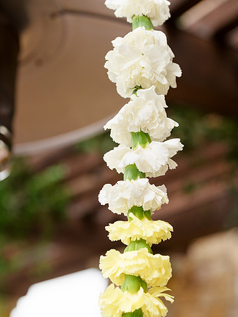 ©Bottega53-M&N-Haldi Ceremony-503